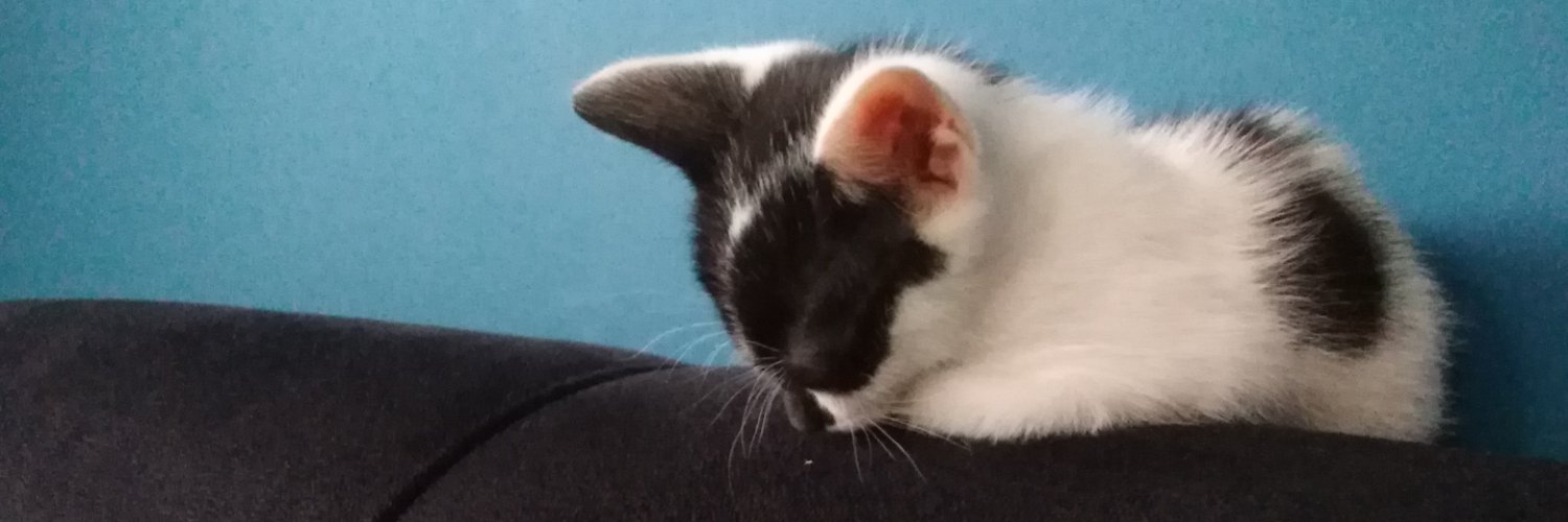 dlnahir's profile banner image