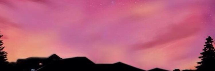 Burdeee's profile banner image