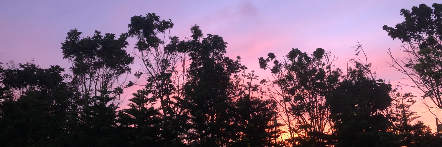 mayibubbs's profile banner image