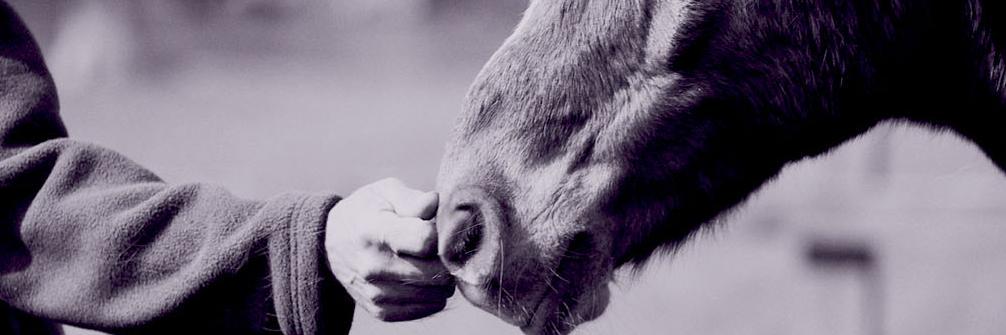 pam_billinge's profile banner image