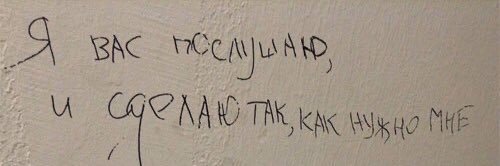 vvpavlovaa's profile banner image