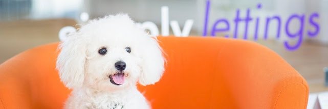simplylett's profile banner image