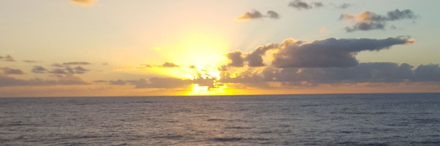 ant9124's profile banner image