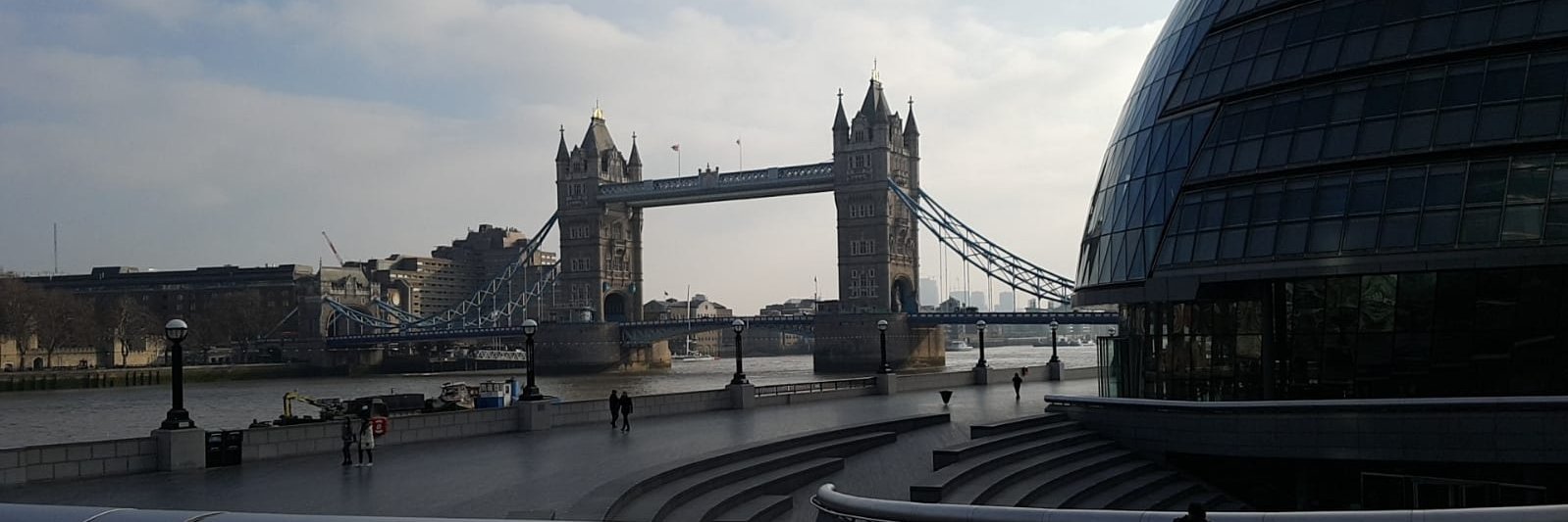 Vanessa Kress banner