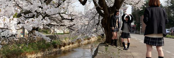 aoi_school's profile banner image