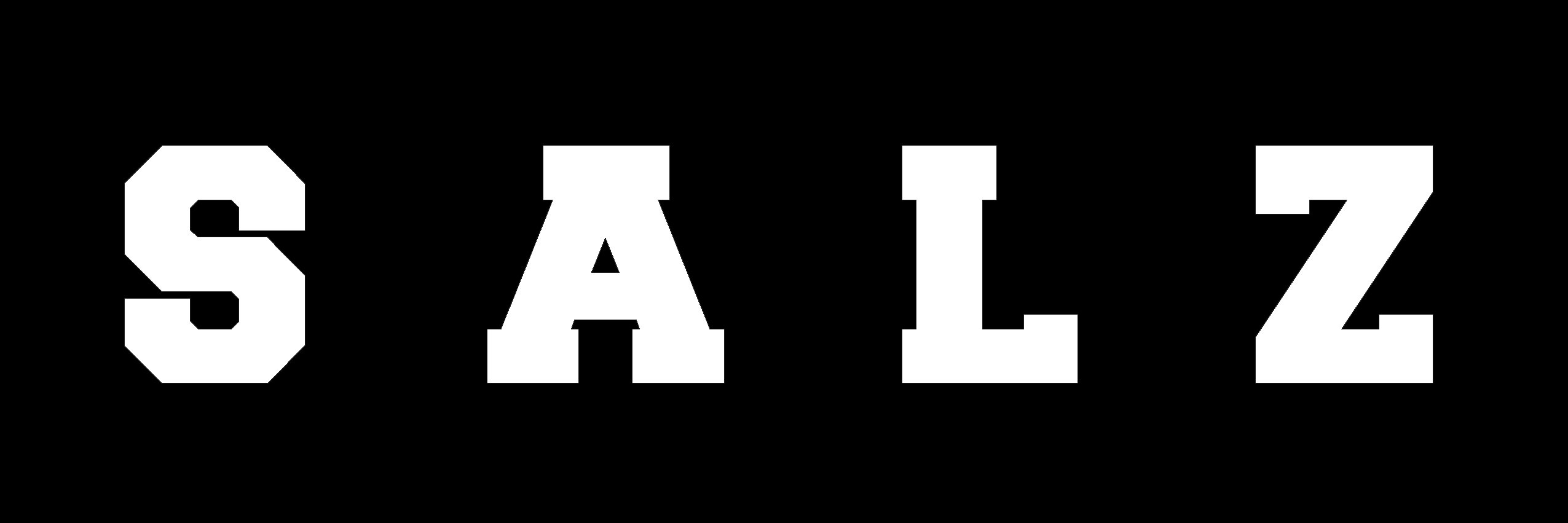 SalzCloth's profile banner image