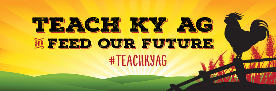 teachkyag's profile banner image