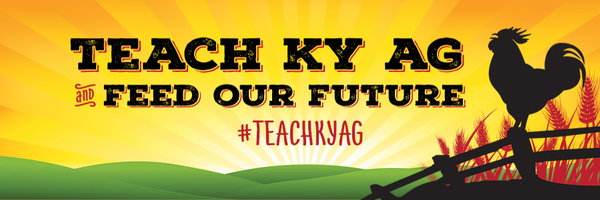 teachkyag Profile Banner