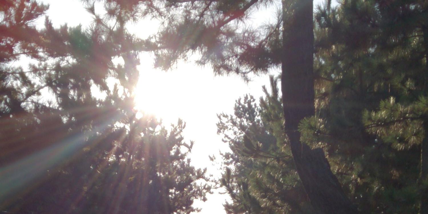 greenearthplan1's profile banner image