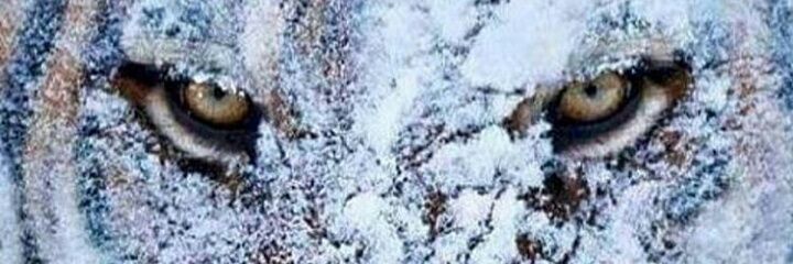 WekesaJoe's profile banner image