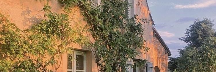 mareeyasha's profile banner image