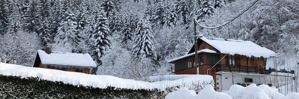 Lionel Diény 😷 banner