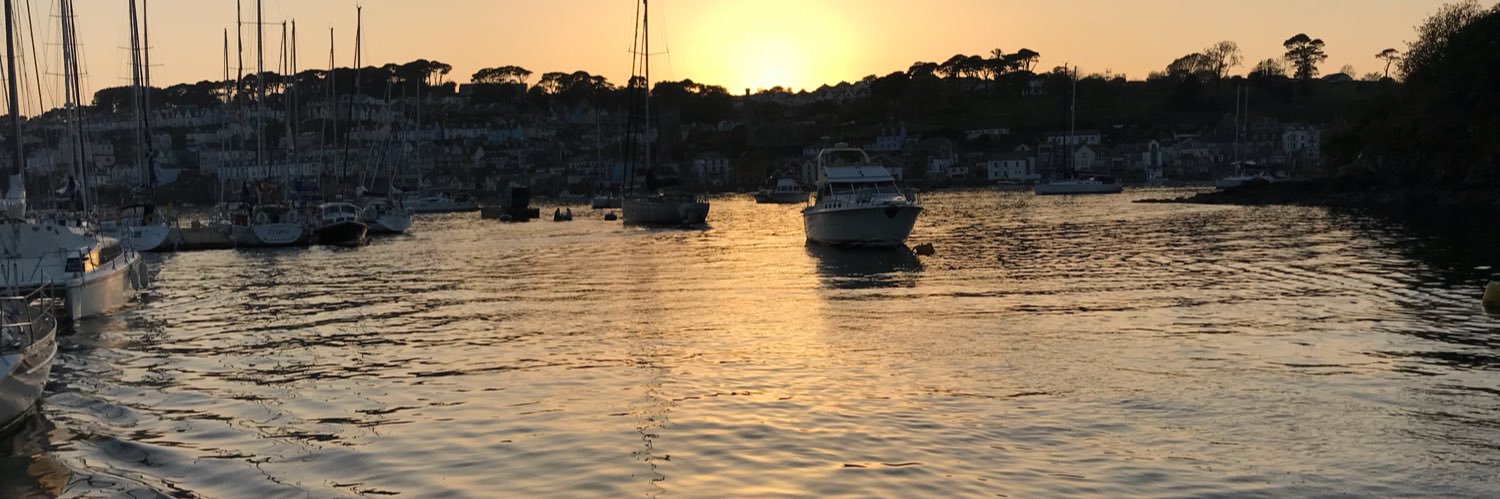 Dr Pinkie Chambers banner