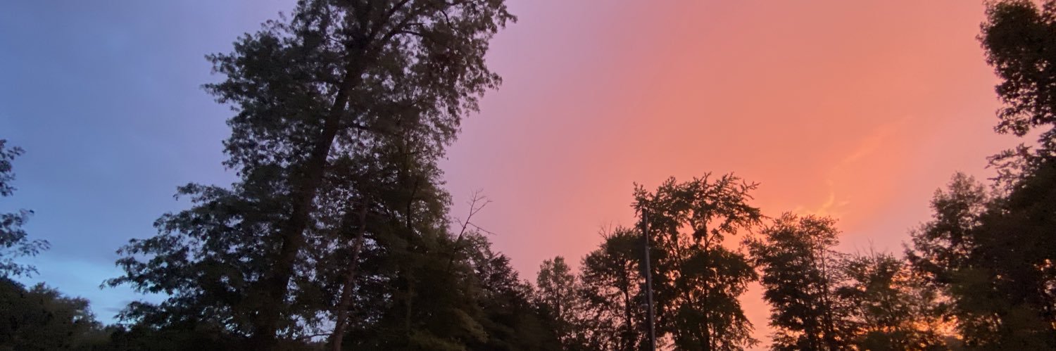 katie_wolf_'s profile banner image