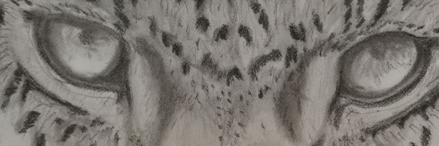 rmadi13's profile banner image