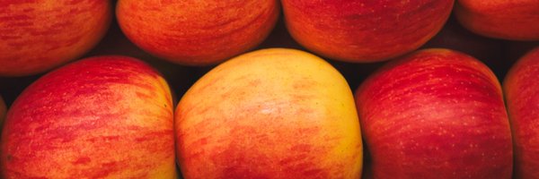 7N3TCK Profile Banner