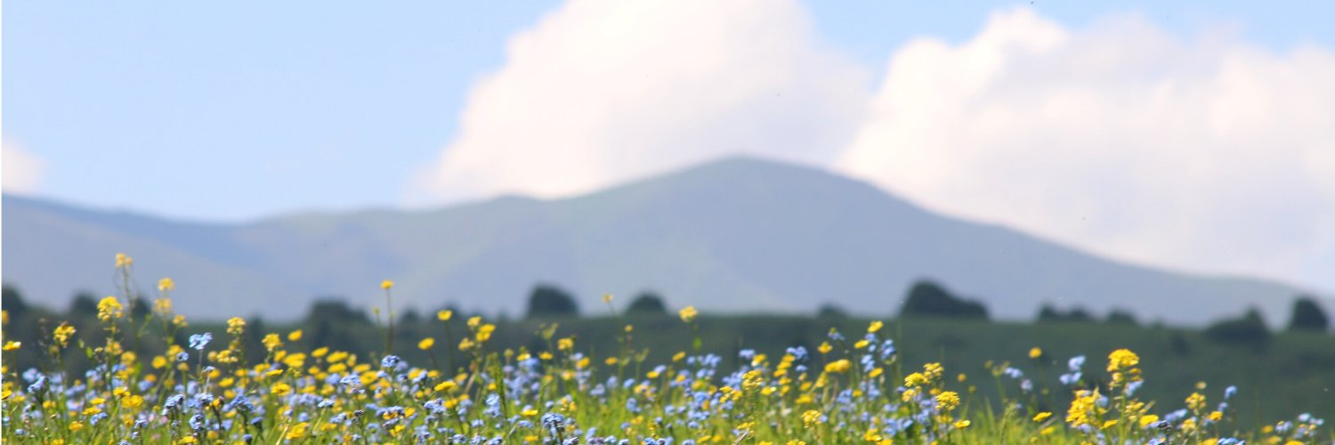 SBenkwitz's profile banner image