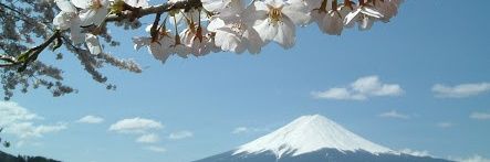 obi_iyah's profile banner image