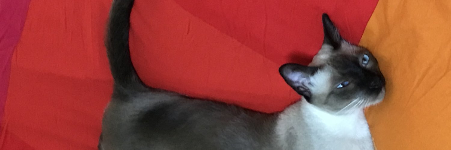 JaraySing's profile banner image