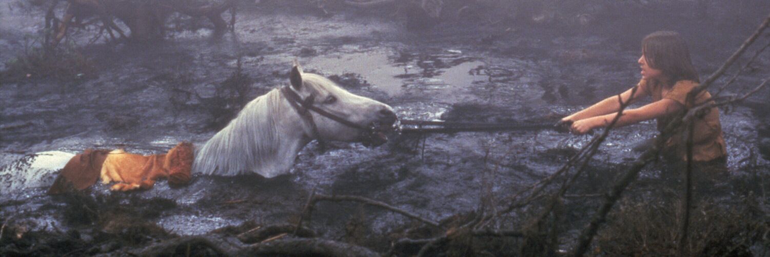 WaylonMercy's profile banner image