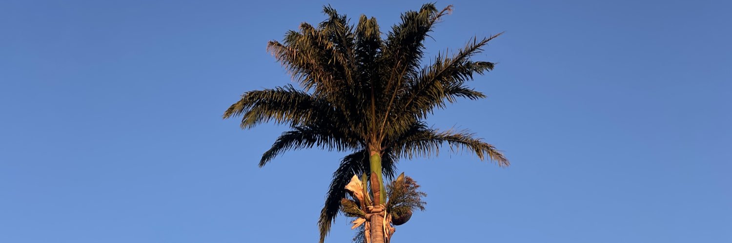 siqueiriuds's profile banner image