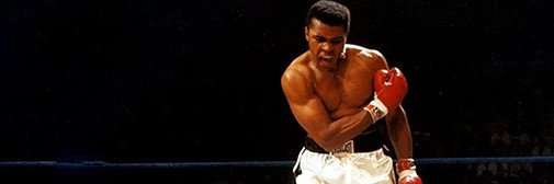 utkumesli's profile banner image