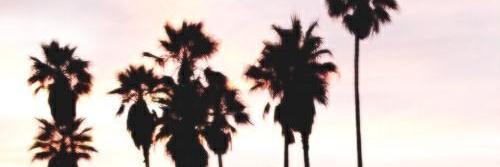 CameronGGRPG's profile banner image