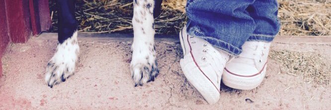 Savannah2016__'s profile banner image