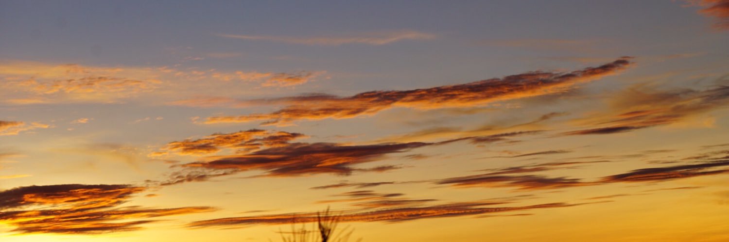 nclbright's profile banner image