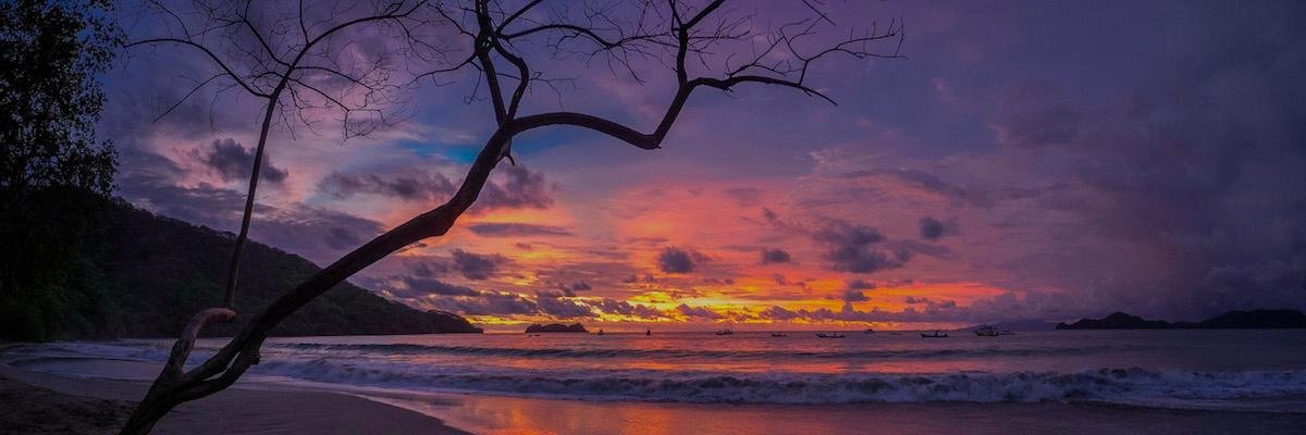 GoCodeNow's profile banner image