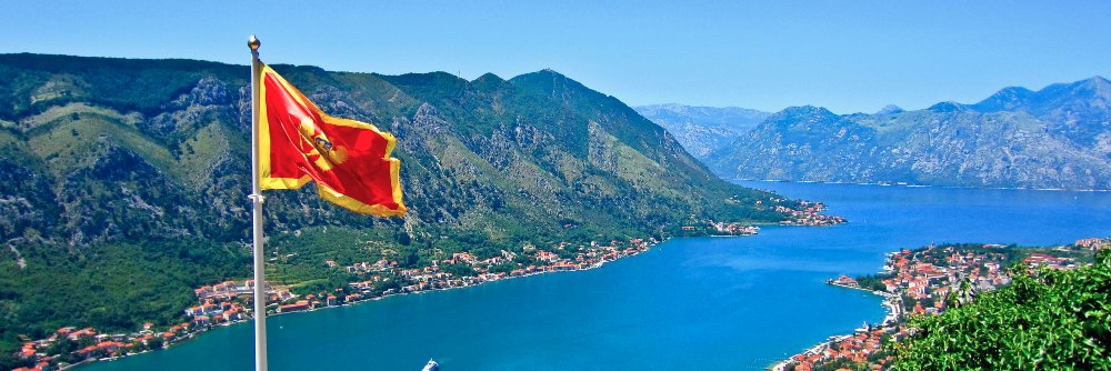 MONTE_HOUSE's profile banner image