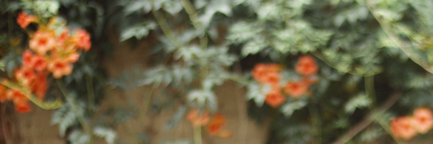 J A W A D 📈 banner