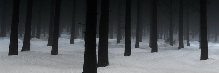 duskymissy's profile banner image