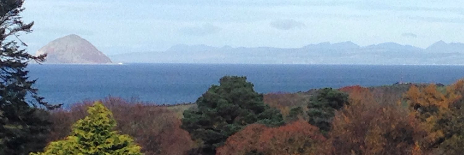 Damian Whitworth banner