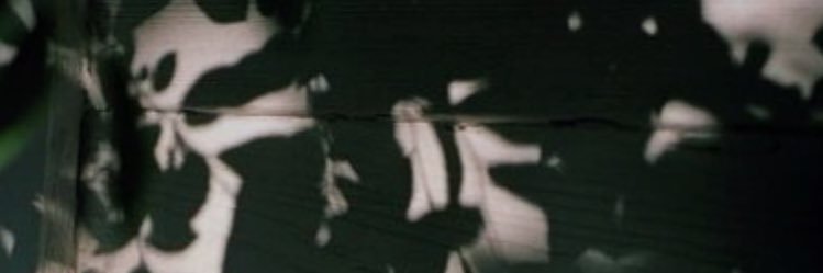 bingbingfen's profile banner image