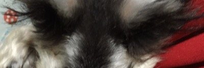 K503Jp's profile banner image