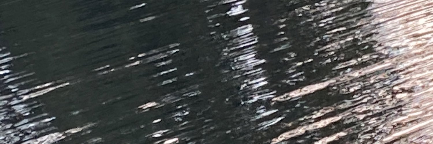 Caroline Walsh banner