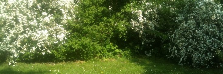 thvwxn's profile banner image