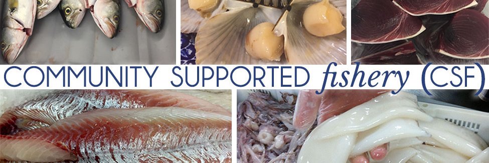 TheLocalCatch's profile banner image
