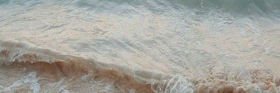 someone. banner