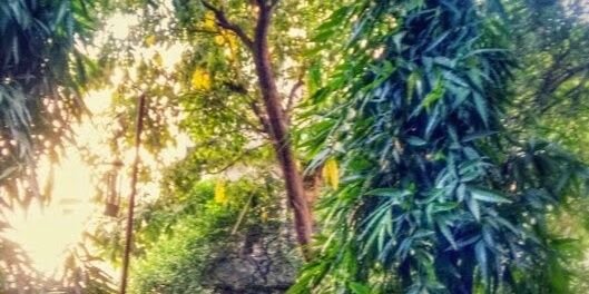 BhasinRuhi's profile banner image