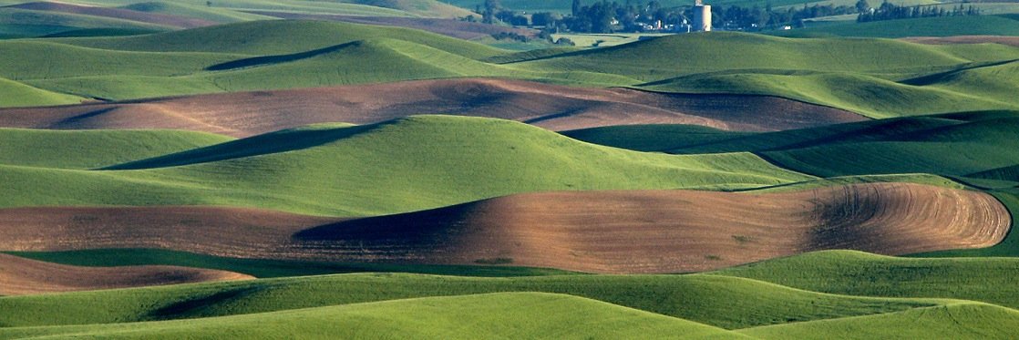 Amos Rothstein banner