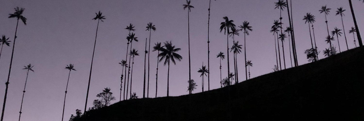 Sebastianm423's profile banner image