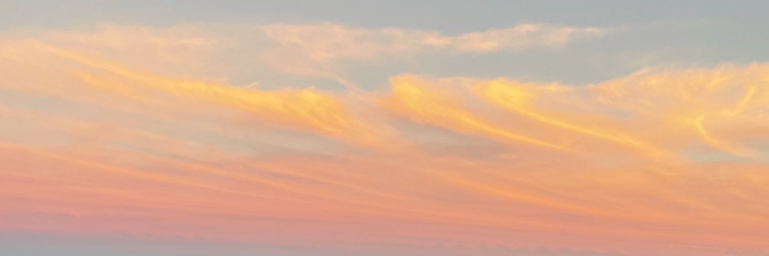spoonchloe's profile banner image