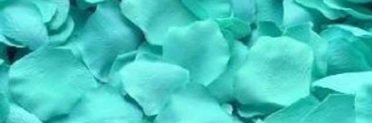 suha🎀🫧🩵 banner