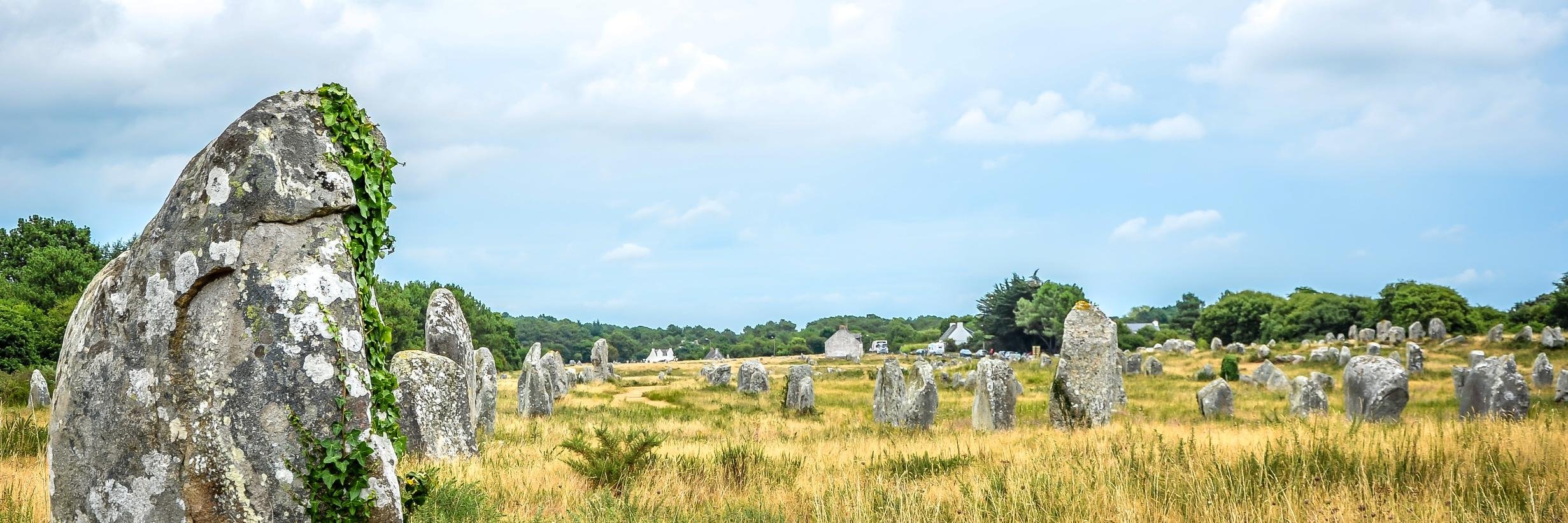 Vincent Lanneshoa banner