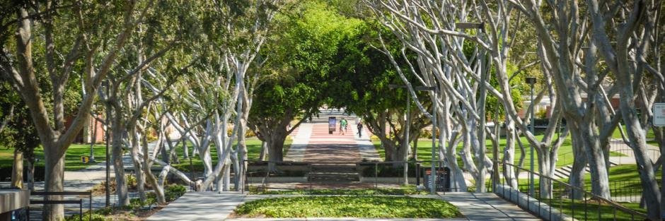 BeachFundCSULB's profile banner image