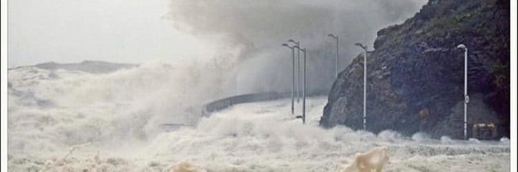 Xavier Colomé banner