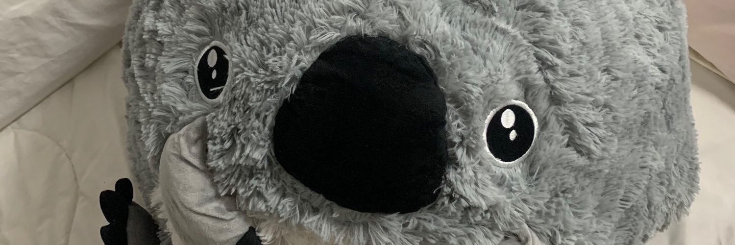zsofeaa's profile banner image
