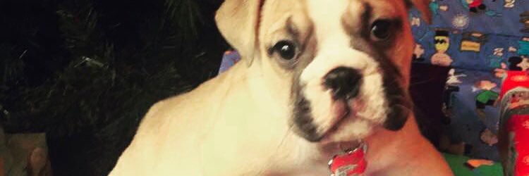 CameronSchmid1's profile banner image